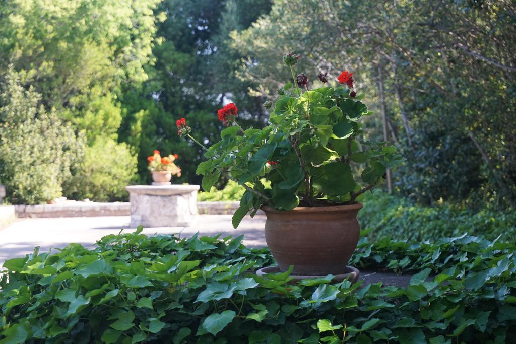 Finca Son Vivot Exterior photo